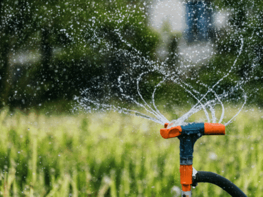 sprinkler watering lawn