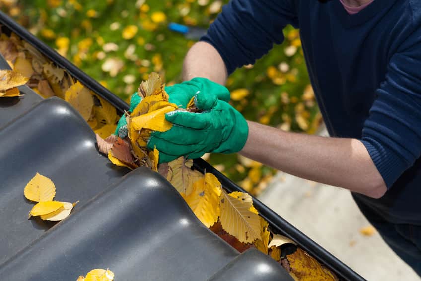 Cleaning the rain gutter during fall